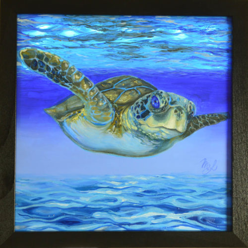 Sea Turtle
