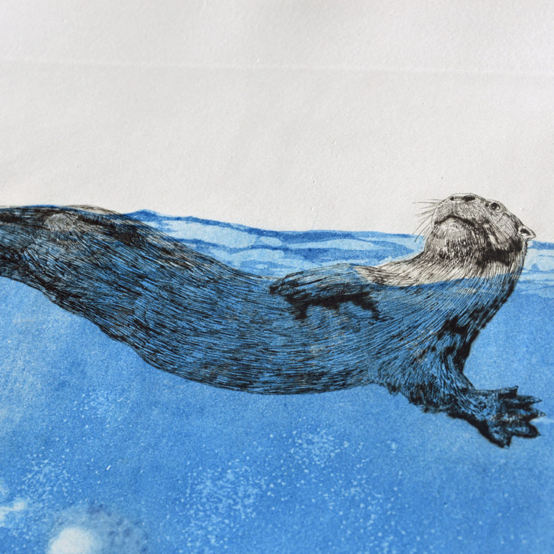 Otter Art, engraving on paper