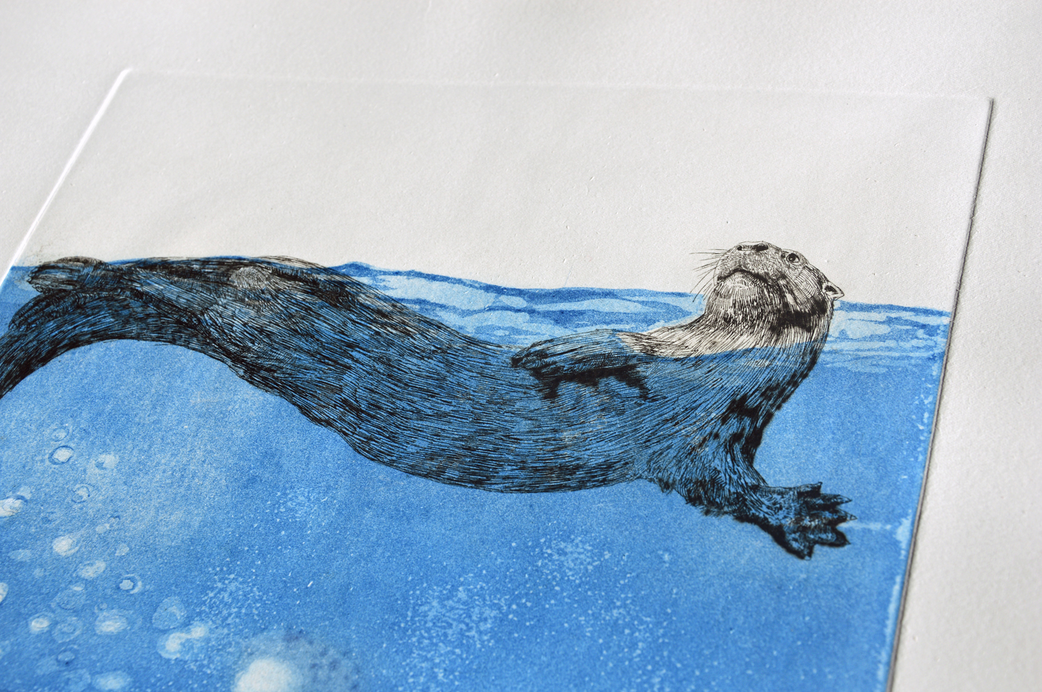 Otter Art, engraving on paper