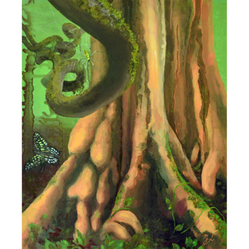 The Ancient Rainforest