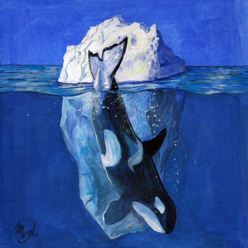Painting of an orca diving into the water with a background of an iceberg.