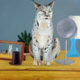 Lynx on the dresser, oil painting.