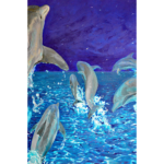 Dolphin pod, oil painting