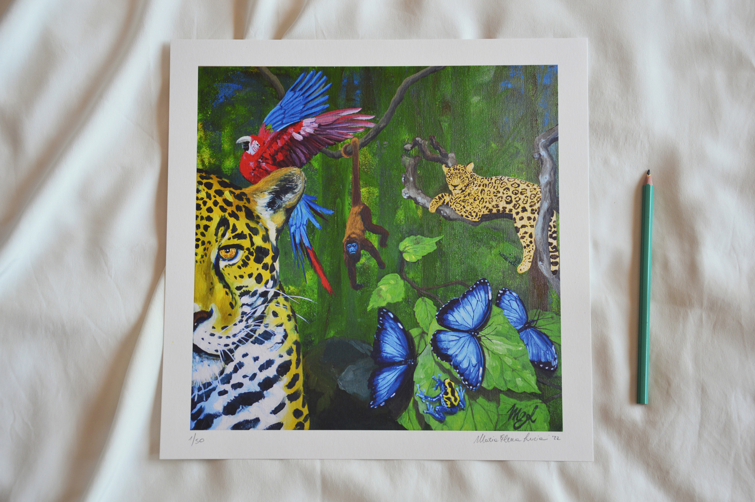 Amazonian Forest, art print