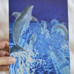 Card, dolphins
