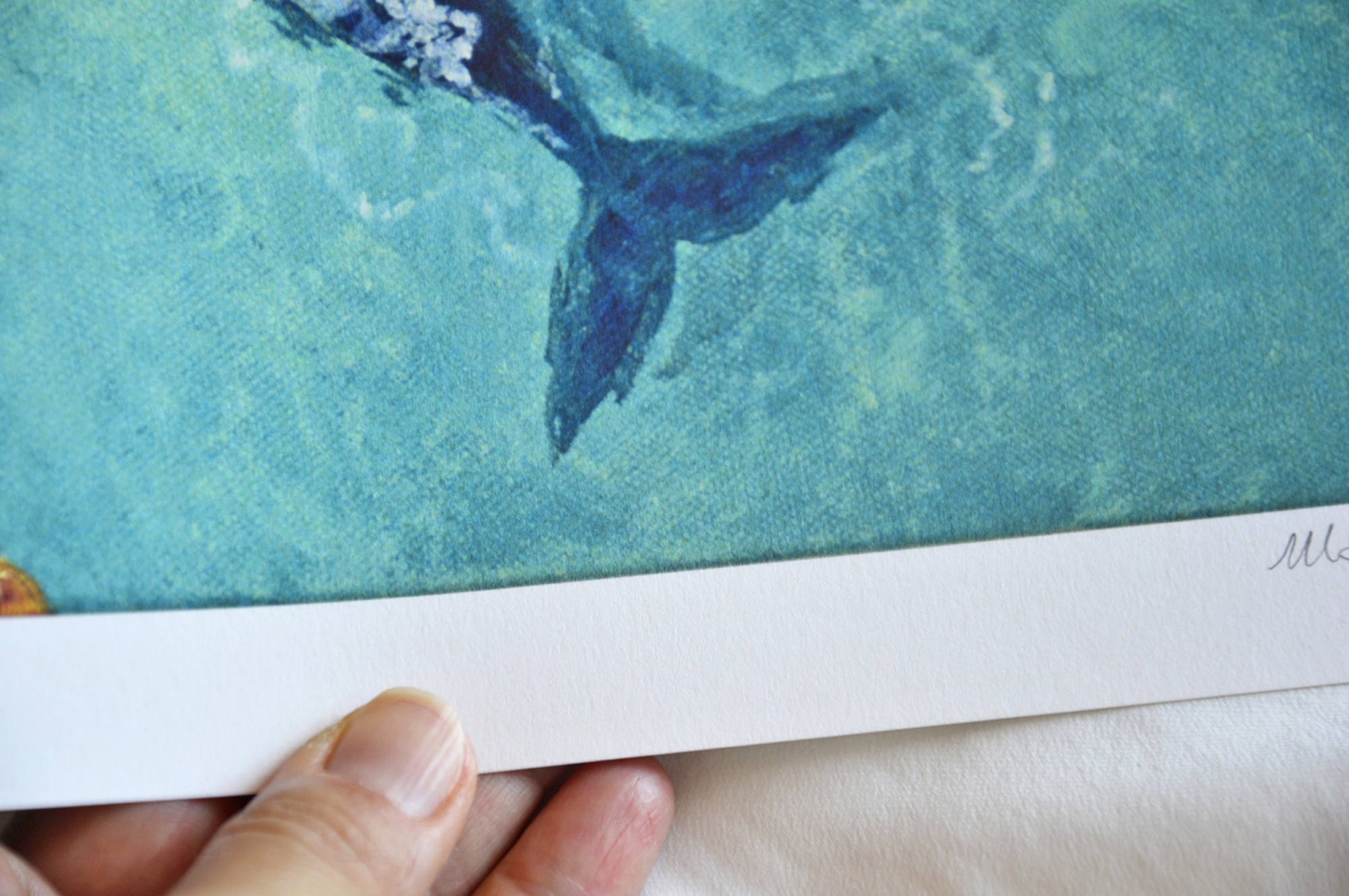 Whale Art, print detail of the tail
