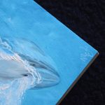 Mini-Dipinto balenottera azzurra
