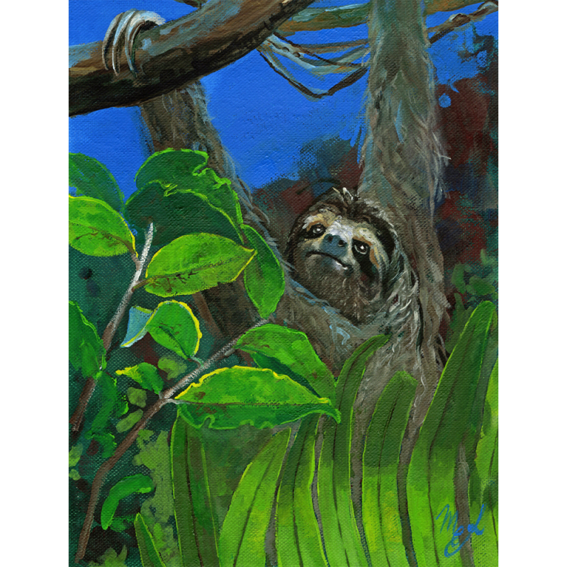 Sloth Costa Rica, painting