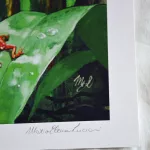Rainforest art print, detail signature